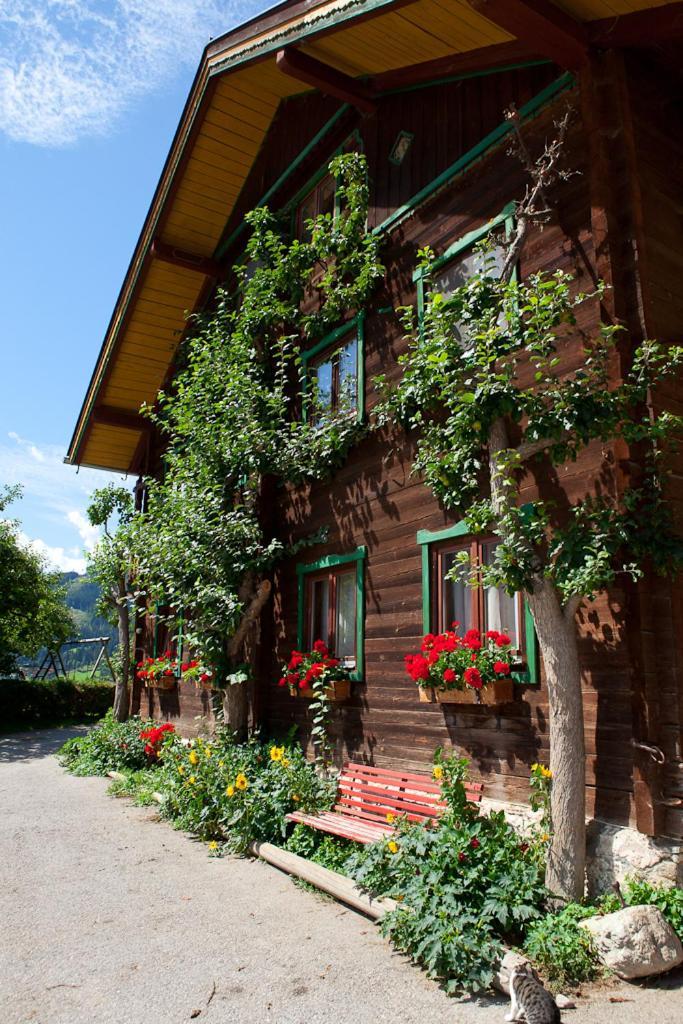 Отель Zauchtaler Hof Альтенмаркт  Экстерьер фото